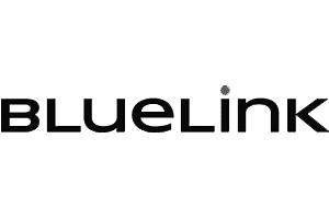 Bluelink logo
