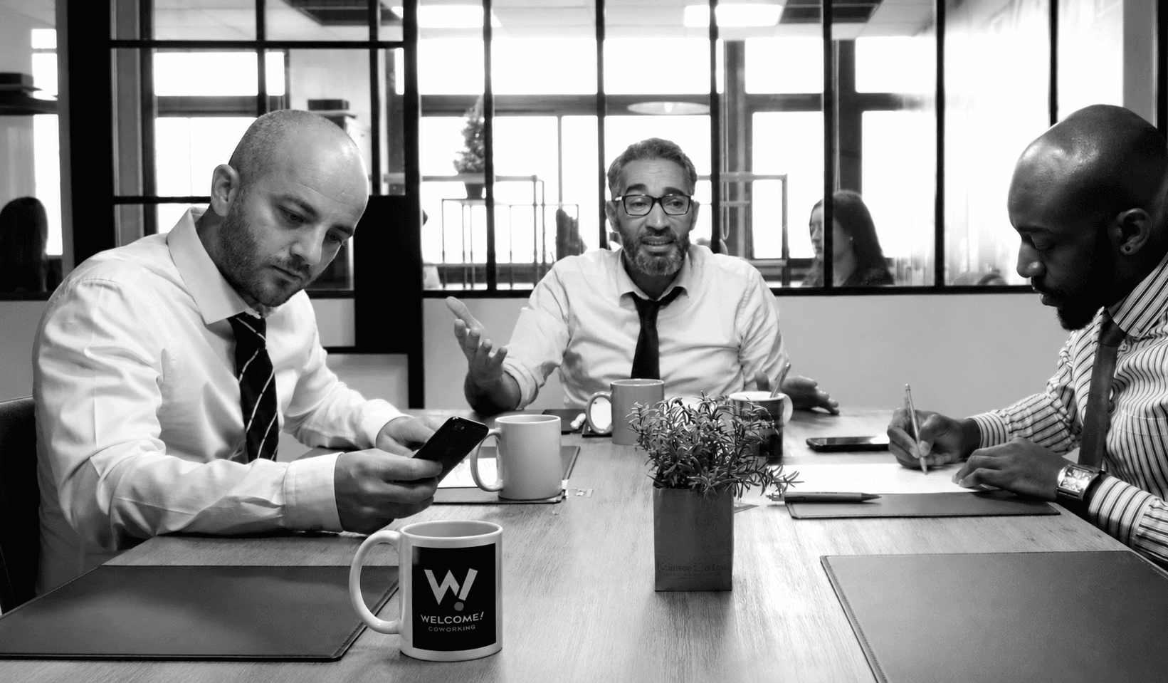 Bright coworking space with wood, plants and black steel glazing