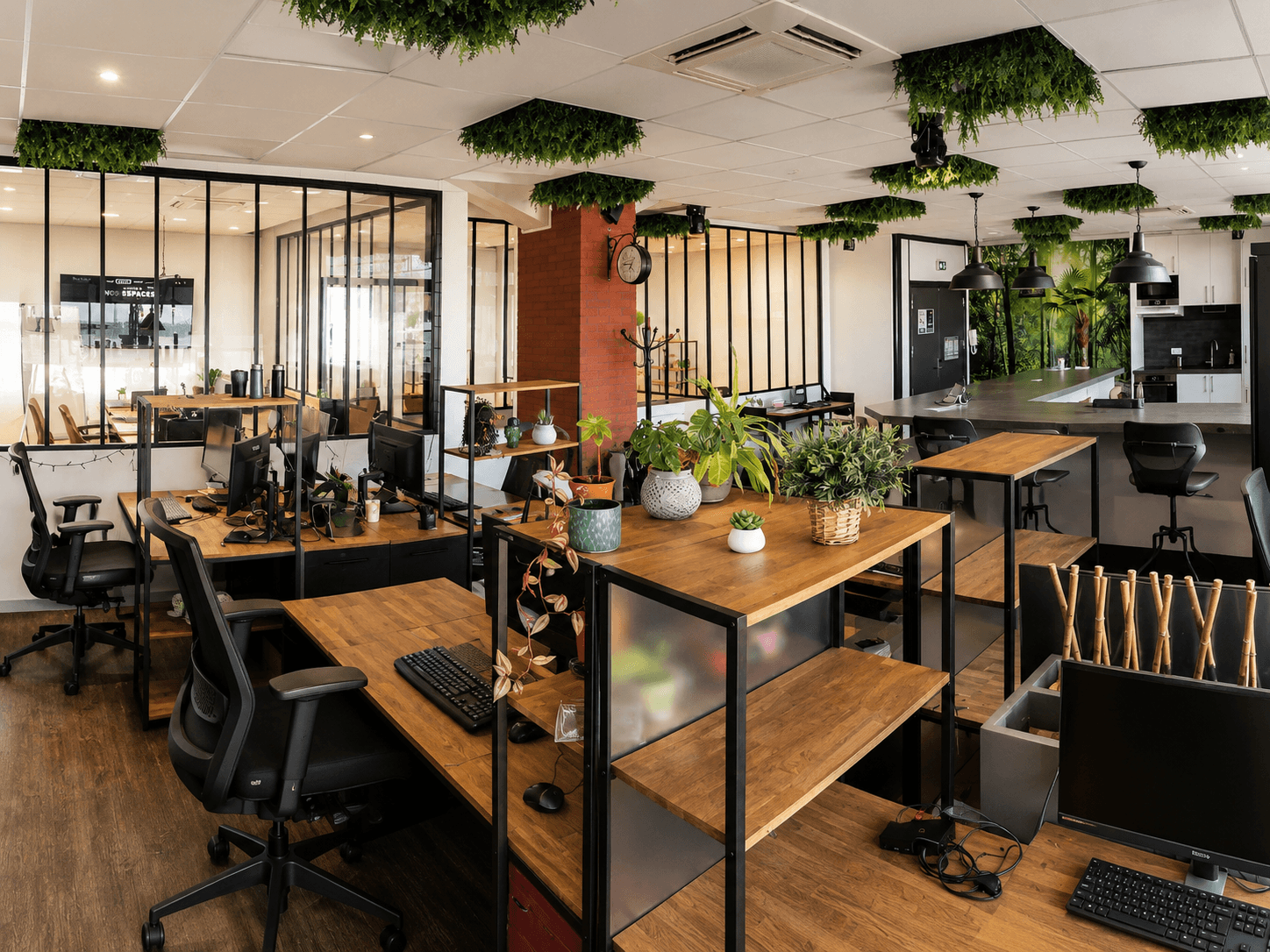 Bright open space with wooden desks, black steel glazing and hanging plants